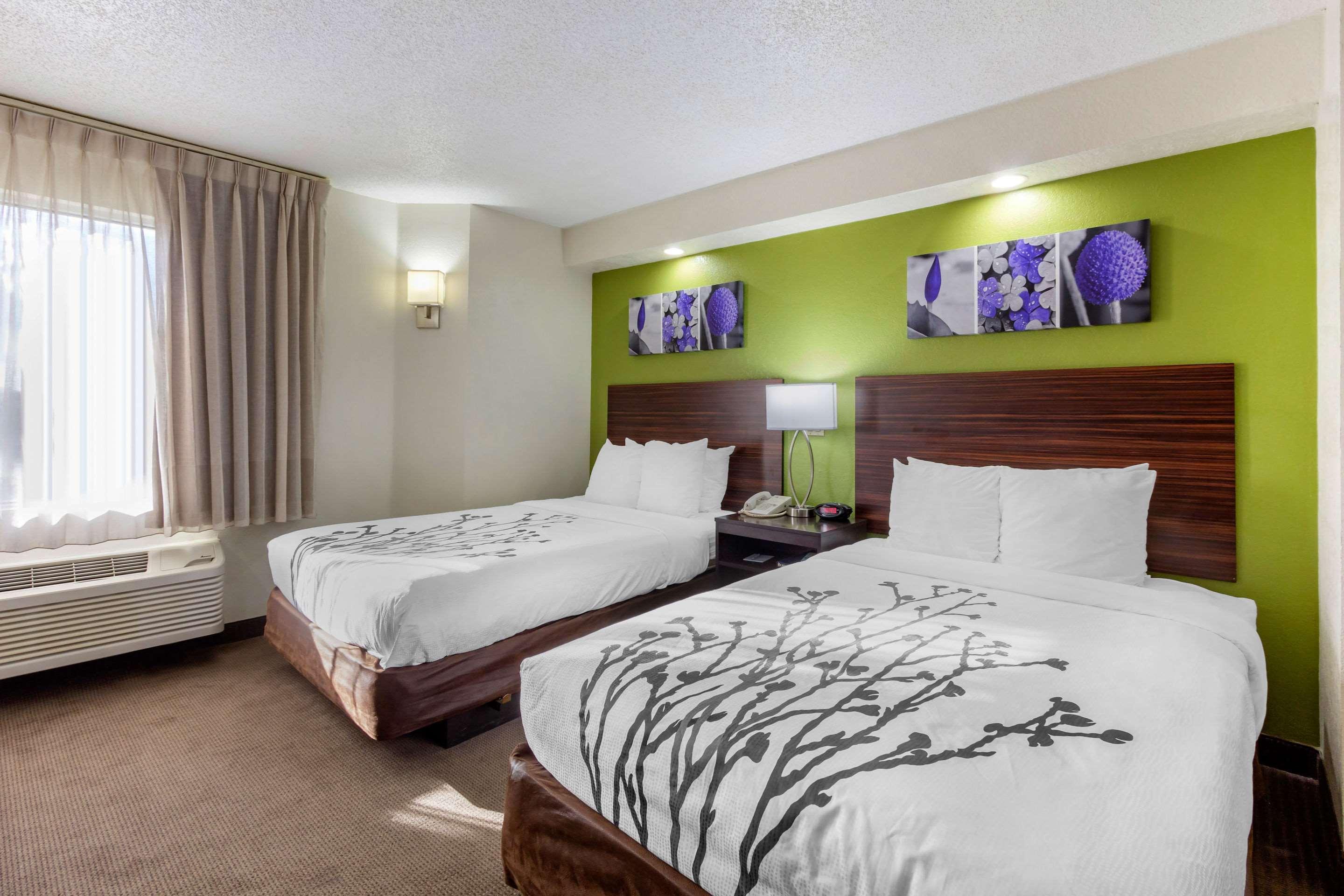 Sleep Inn Near Busch Gardens - Usf Temple Terrace Exterior foto